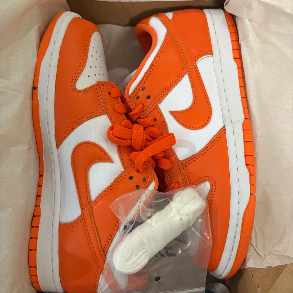 Nike Dunk Low SP